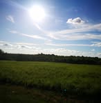 Benjamin Ratti - Facebook