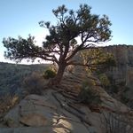 Benjamin Rawles - @toomuchbuenoben - Instagram