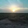 Benjamin Real - @benjamin.real6 - TikTok