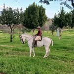 Benjamín Redondo Santos - @mundoanimalbenjamin_10 - Instagram