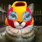 Benjamin Regalado - Facebook