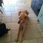 Benjamin James Reilly - @benjamin_reilly123 - Instagram
