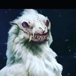 benjamin - @benjaminreinero62020 - Instagram