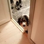 Benjamin Reinert Fjallheim - @benjamin_reinert_fjallheim - Instagram