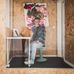 Benjamin Reis - Facebook