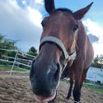 Benjamin Reiser - @reiser7450 - Instagram