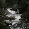 remobenjamin - @remobenjamin - TikTok