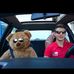 Benjamin Rentschler - Facebook