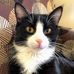 Benjamin Resch - Facebook