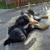 Benjamin Resch - @benjamin.resch - TikTok
