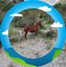 Benjamin Reyna - Facebook