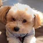 Benjamin Dusty Rhoades - @benjamindustyrhoades - Instagram