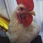 Benjamín Ricardo - @benjamin_ricardo_ - Instagram