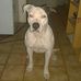 Ben Rieck - Facebook