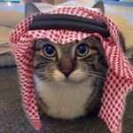 Benjamin - @benjaminriedel11 - Instagram