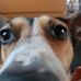Benjamin Riedel - Facebook