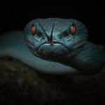 Benjamin Riedel - @benjamin.riedel - Instagram