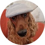 Benjamin Merigaud - @benjaminmerigaud - Instagram