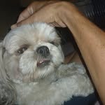 Benjamin Rincon Rivera - @antoniorinconortiz - Instagram