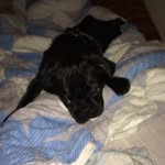 @benjaminringel2 - Instagram