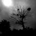 Benjamin Riordan - Facebook