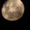 Benjamin Ritchie - @benjamin.ritchie3 - TikTok