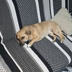 Benjamin Ritter - @snickers690 - Instagram