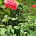 Benjamin Rivas - Facebook