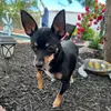 Benjamin Rivera - @benjamin.rivera02 - TikTok