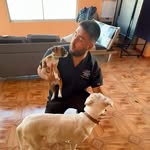 Benjamín Rivera | Médico Veterinario a domicilio 🚙🏡🩺 - @benja.veterinario - Instagram
