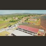 Bénjamin Rizó - @rizobenjamin - Instagram
