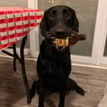 Benjamin Rocco Patterson - @benjamin.patterson16 - Instagram