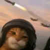 benjaminrocha59 - @benjamin.rocha902 - TikTok