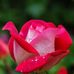 Benjamin Rockwell - Facebook