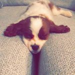Benjamin Rooney Johnson - @beni__dj - Instagram
