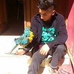 Benjamin Saavedra - @mochila_rotta - Instagram