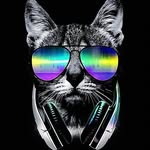 benjamin salomon - @benjaminsalomoncastro - Instagram