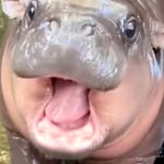 Benjamin Samuelson - @samuelson.benjamin - Instagram