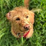 Benjamin Sanderson - @benjamin_paul_sanderson - Instagram
