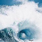 Benjamin Sauer - @sauer_bw - Instagram