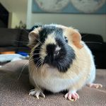 Benjamin Sauer - @bsauer22 - Instagram