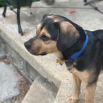 Benjamin (Benny) Sawyer - @benjaminsawyer1 - Instagram