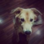 Benjamin Schmitz - @schmitz_benjamin - Instagram