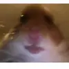 benjamin seals - @cobyms - TikTok