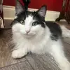 Benjamin Sehl - @benjamin.sehl - TikTok