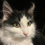 Benjamin Sehl - @benjamin.sehl - Instagram