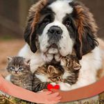 Shelly S Mundorf - @benjaminswife503 - Instagram