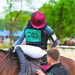 Benjamin Forestier Sellier - @benjamin_forestier_sellier - Instagram