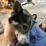 Benjamin Sellmann - @benjamin_sellmann - Instagram