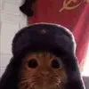 Benjamin Shelton - @benjamin.shelton64 - TikTok